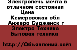 Электропечь мечта в отличном состоянии › Цена ­ 2 500 - Кемеровская обл., Анжеро-Судженск г. Электро-Техника » Бытовая техника   